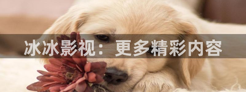 红樱桃av影院免费观看