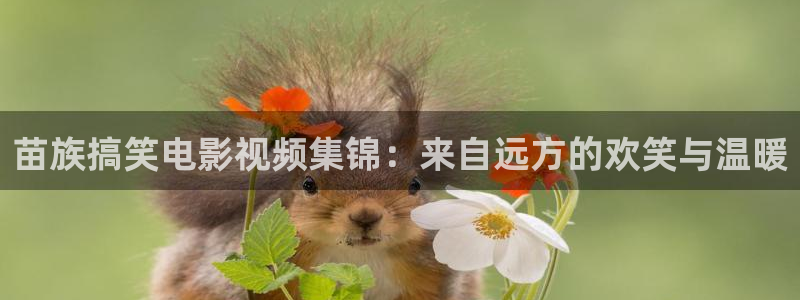 破冰行动免费观看樱桃影院