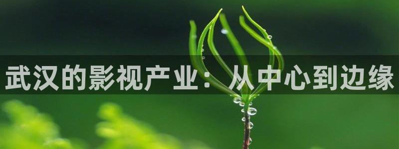 樱桃免费播放视频